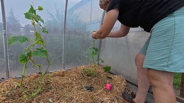Полезная мысля пришла позже смотреть онлайн