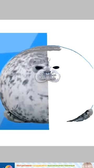 рисую тюленя 2 часть