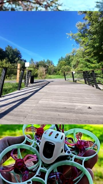 Сайма на Метеоре