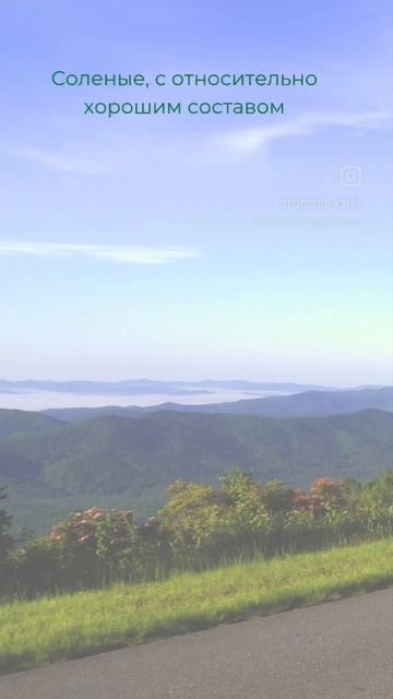 Перекусы с полезным составом.mp4 смотреть онлайн