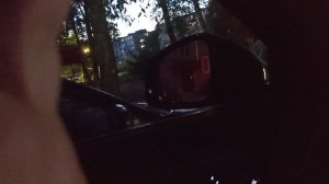 Работа голосового ассистента voyah free на прошивке от ОД