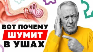 92% людей НЕ ЗНАЮТ почему появляется ШУМ в ушах! Как лечить БЕЗ ТАБЛЕТОК?