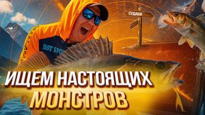 Рыбалка на трофейного судака - ищем настоящих монстров!