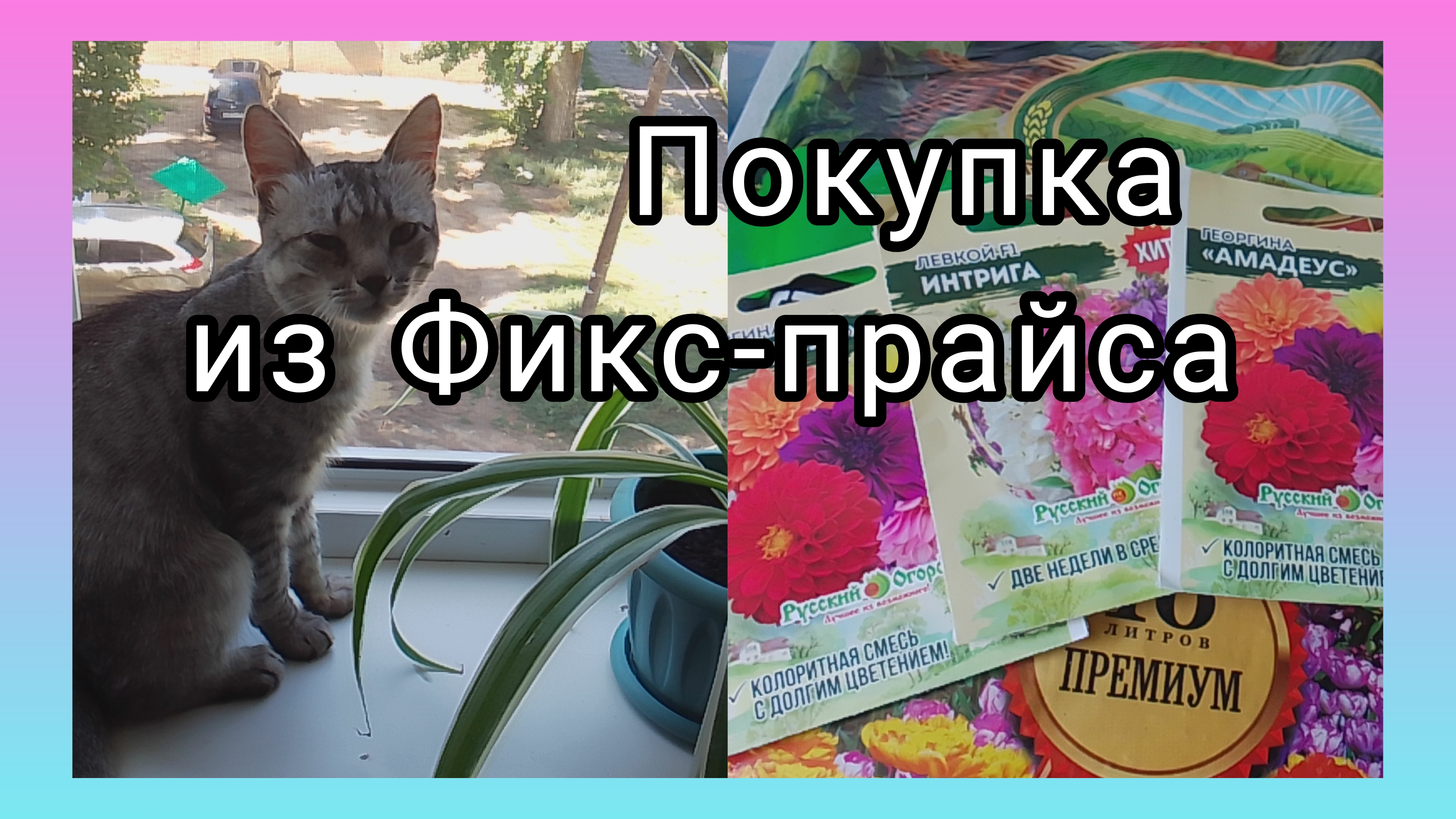 В ОЖИДАНИИ/СХОДИЛА В ФИКС-ПРАЙС/КУПИЛА АРБУЗ 🍉 смотреть онлайн