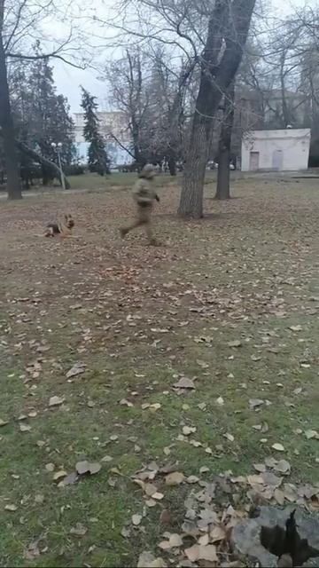 Гера команды в движении