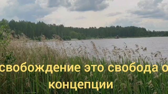 Освобождение это свобода от концепции смотреть онлайн