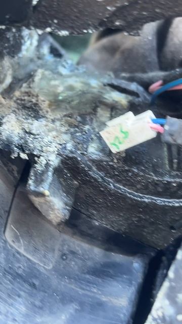 Вандализм в зеркале