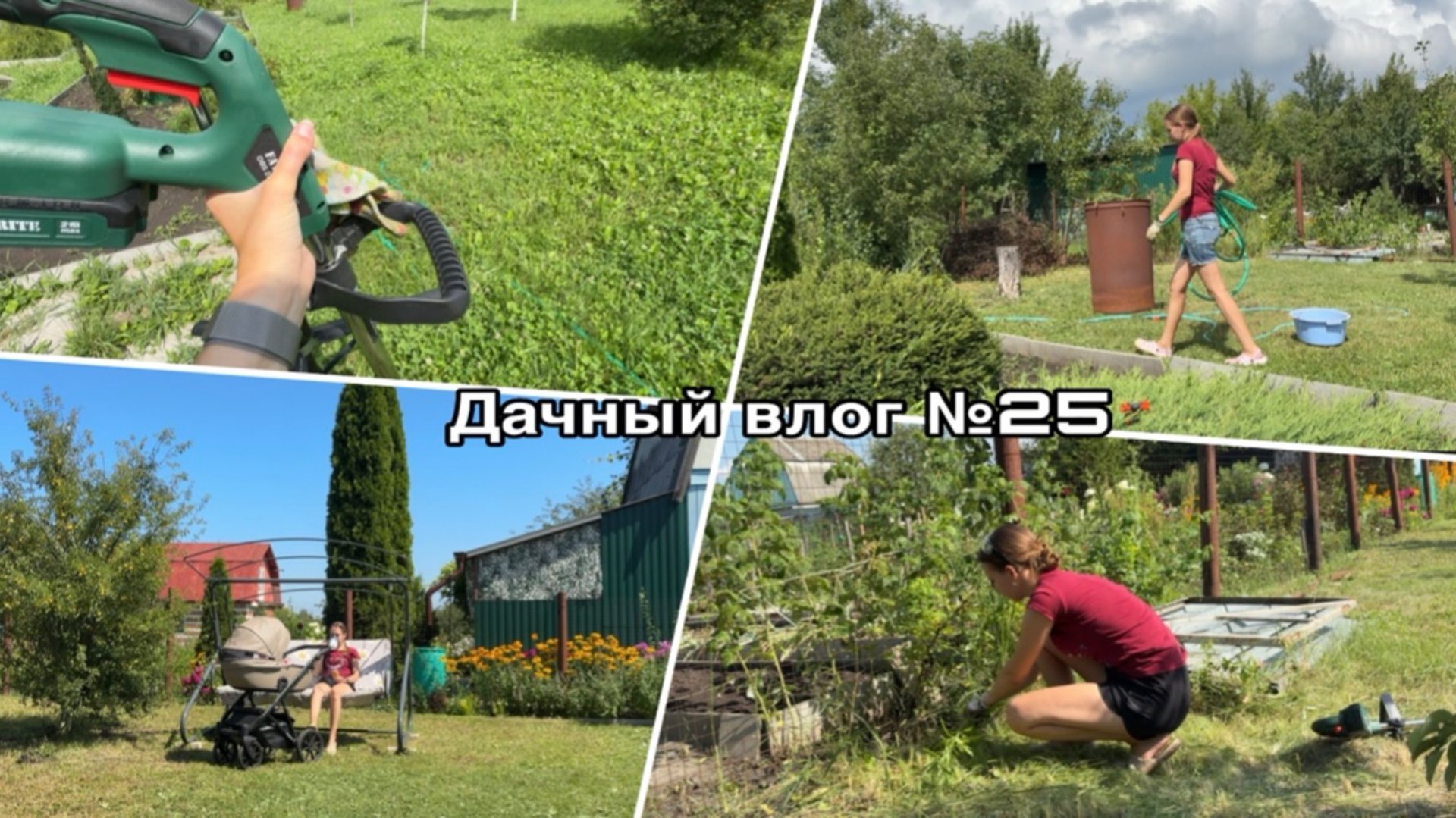 Дачный влог №25 🍓 Спасаю свой крыжовник | Продолжаю расчистку участка