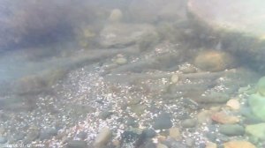 Лето продолжается. Черное море ⛵ Новомихайловский.Туапсинский район