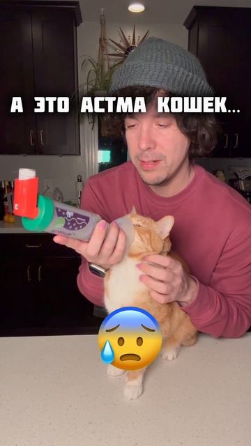 Читай описание к видео