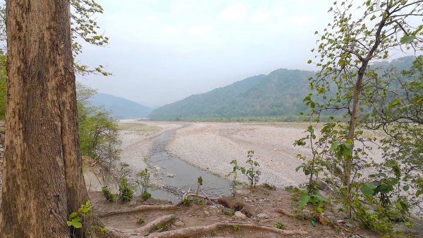 Tiger Forest, drive to Corbett, Travel, India #olliwonder