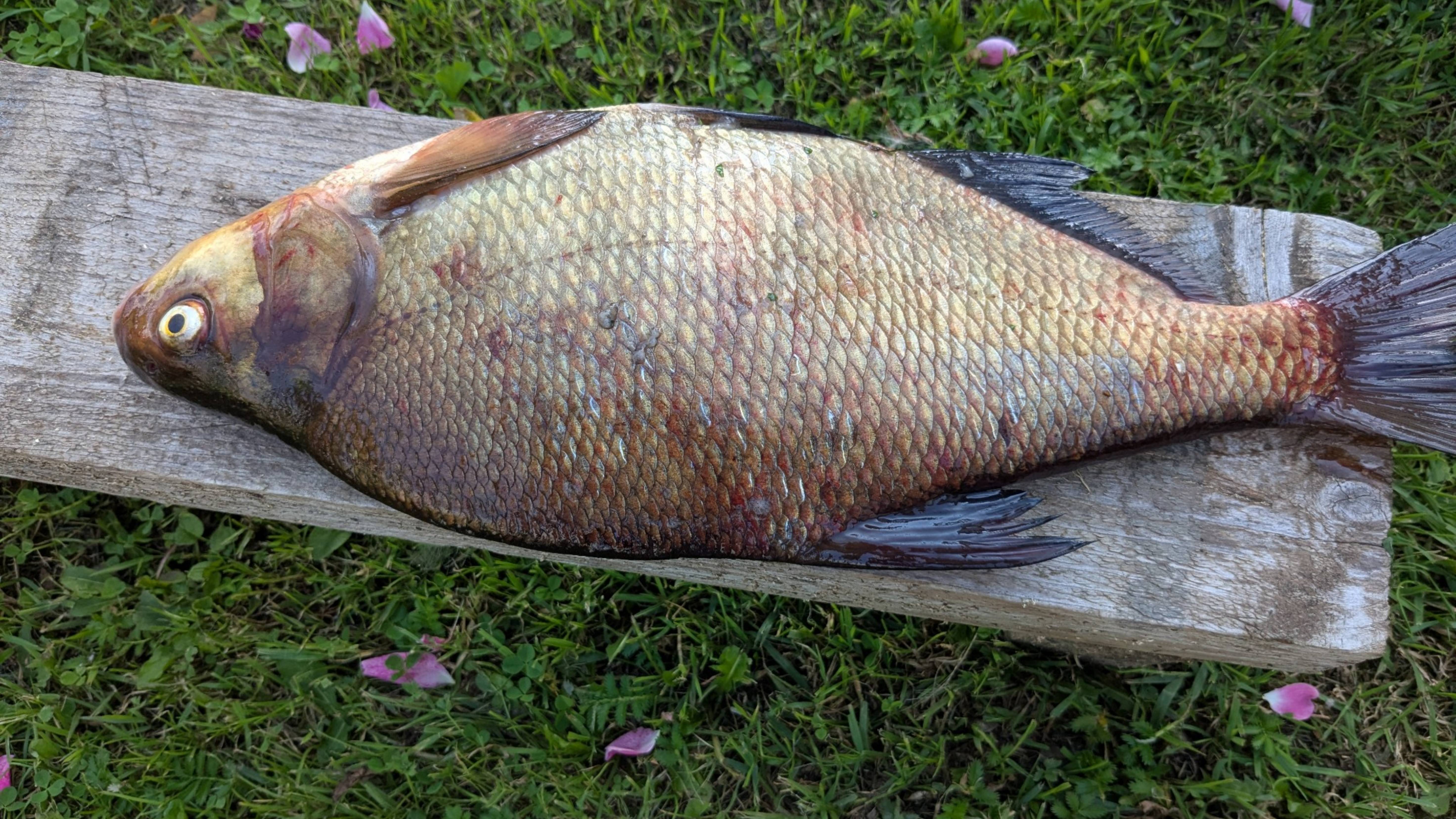 Ночная рыбалка и что меня ждёт впереди. смотреть онлайн