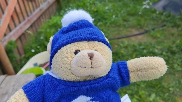 Penguin №19 True Story