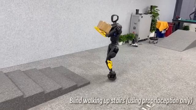 Новый робот адаптируется к среде без камер и внешних датчиков смотреть онлайн