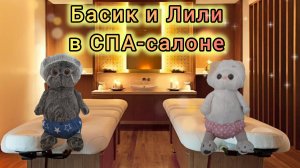 Басик и Лили в СПА-салоне!  КотоКсю 🐱
