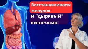 Восстанавливаем желудок и «дырявый» кишечник