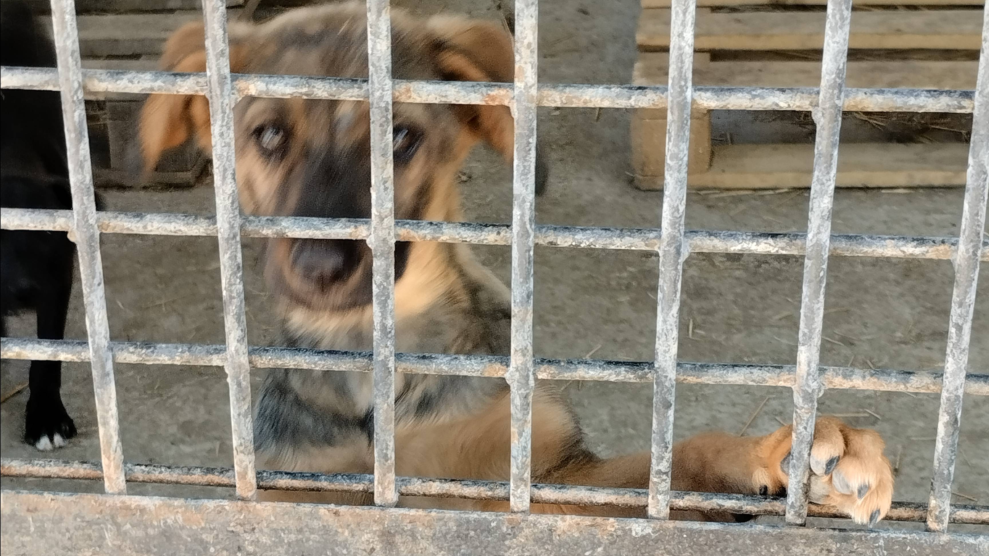 Источник Георгия Победоносца