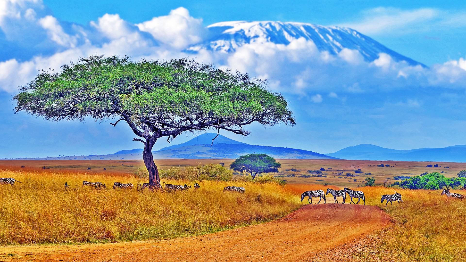 Чудеса Африки! Земля контрастов и древних цивилизаций.