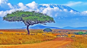 Чудеса Африки! Земля контрастов и древних цивилизаций.