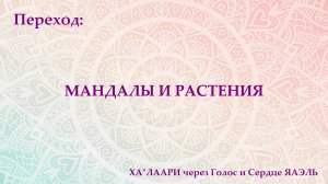 Переход: о Растениях и Мандалах