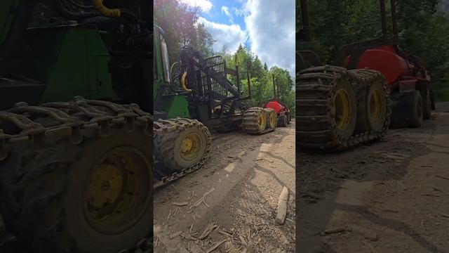 Отвод и таксация лесосек Пермский край.