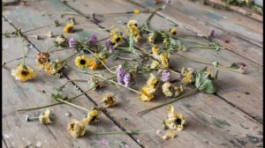 Вохник Андрей - Украденная любовь