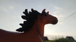 фотки лошадей шляйх