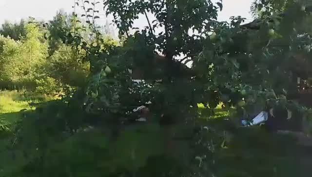 VID-20250802-WA0029 смотреть онлайн