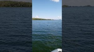 Агидель , подкова 🎣 Июль 2025.mp4