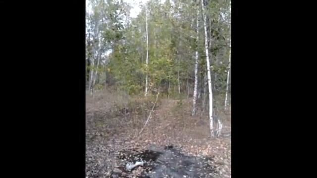Осень смотреть онлайн