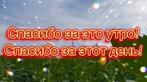 Спасибо за это утро! Спасибо за этот день!