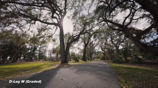 ЛУЧШИЕ настройки DJI Osmo Action 5 PRO! (Кинематографично, замедленная съемка) смотреть онлайн