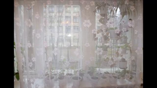 Фиалка алая - Автор Артём Приписнов музыка и поёт Евгений Коновалов смотреть онлайн