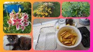 Август 2025.Ужин в аэрогриле.Адская  приблуда