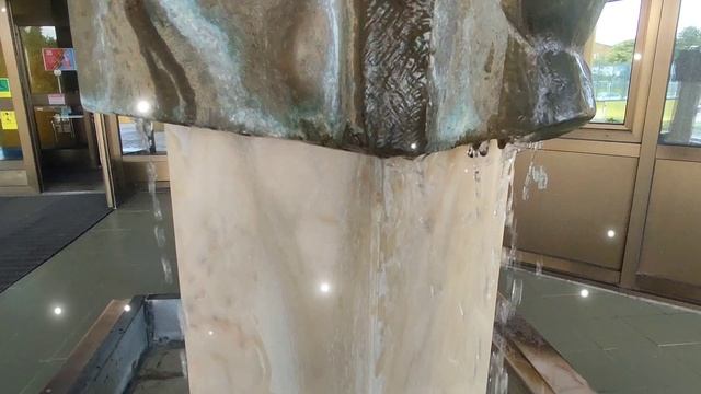 Прогулка Лесной городок Ленинск-Кузнецкий июль 2025