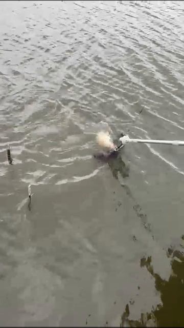 КАРПУШКА смотреть онлайн