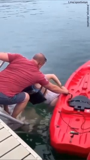 Парашютом зацепилась