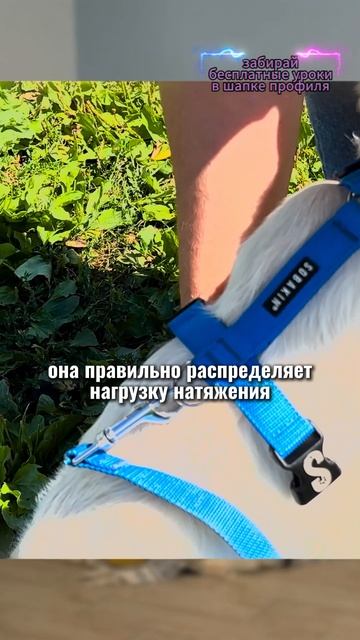 🎁Бесплатные уроки. Жми сюда! смотреть онлайн