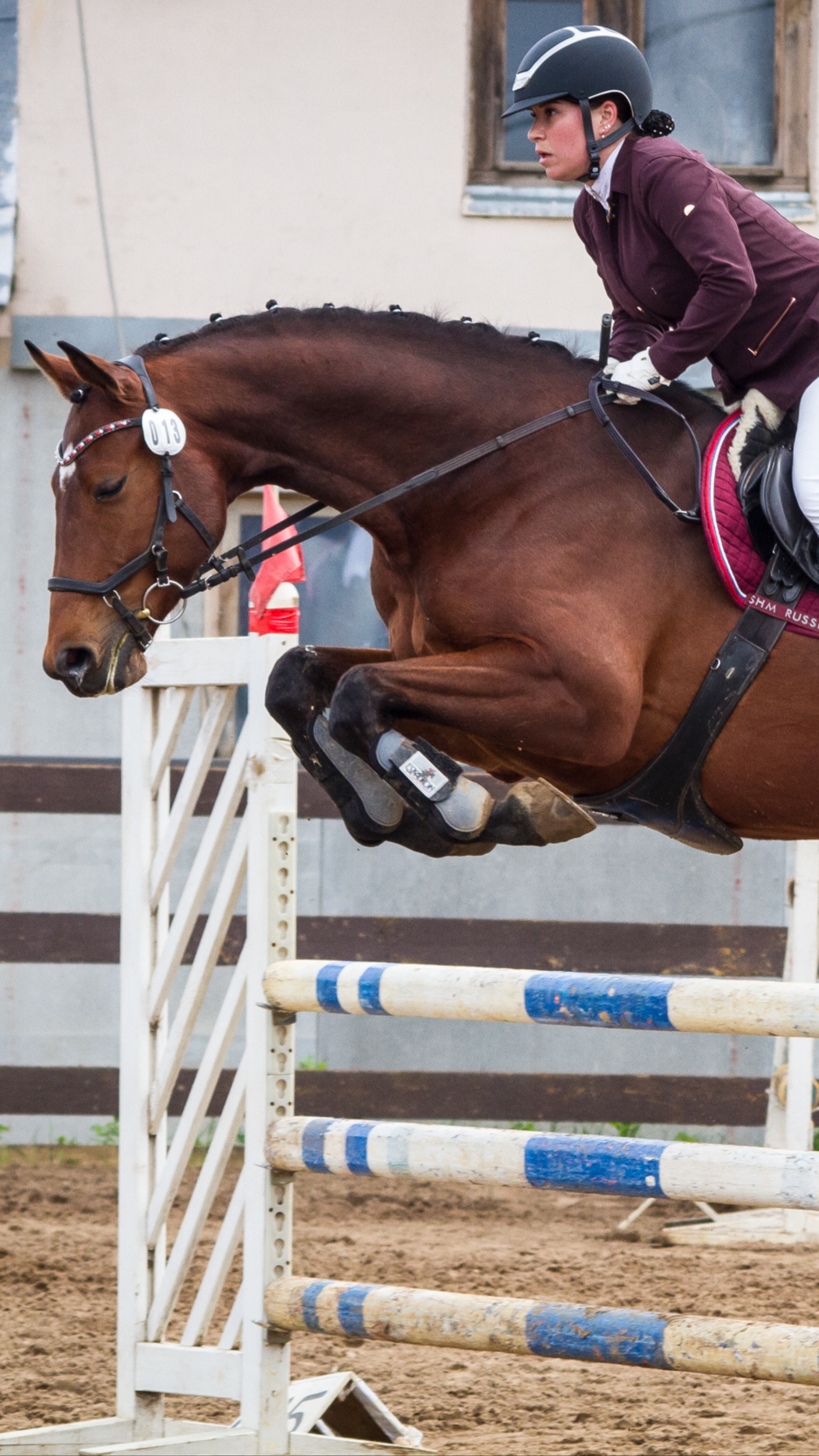 Самые красивые и старательные 🏇 мощь, сила и грация 🐴 невероятная отдача 🤗