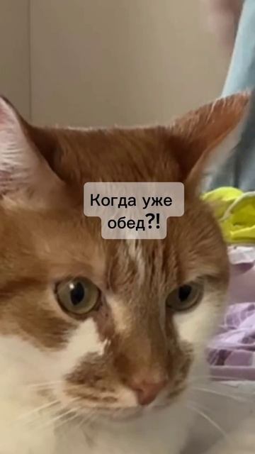 Наконец-то выходные... 💃