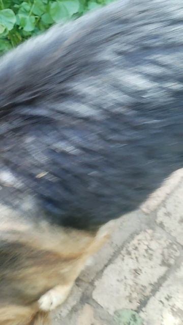 VID_20250802_155201.mp4 смотреть онлайн