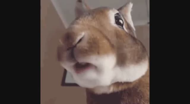 Enigma - El canto indio прикольные видео смотреть онлайн