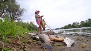 КУЧА РЫБЫ, С НОЧЁВКОЙ. РЕБЁНОК ЛОВИТ САЗАНА С ПАПОЙ. ЛОВЛЯ РАКОВ. Рыбалка на закидушки и поплавок.