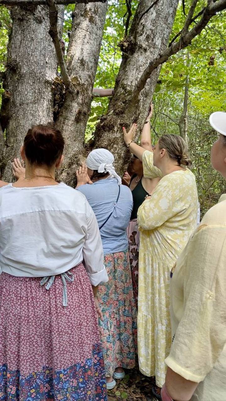 Кому подходит семинар Основы ведовства #shorts #глазамидуши смотреть онлайн