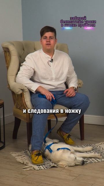 🎁Бесплатные уроки. Жми сюда! смотреть онлайн