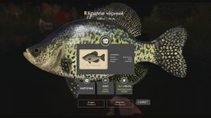 Рыбы с карточками в игре Русская рыбалка 4, коллекция озеро Лосиное, Краппи чёрный, трофей