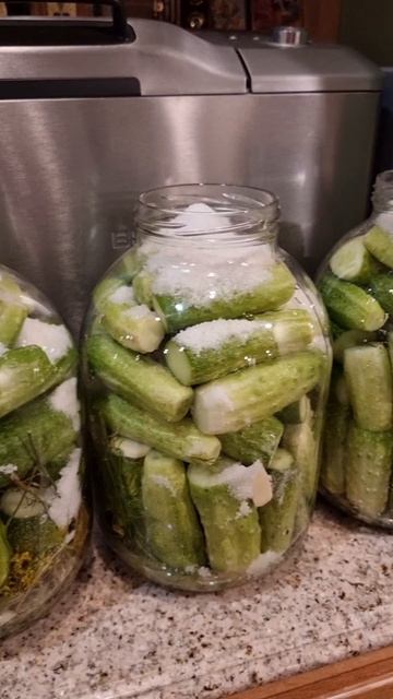 Заготовка. Квасим помидоры и огурцы. смотреть онлайн