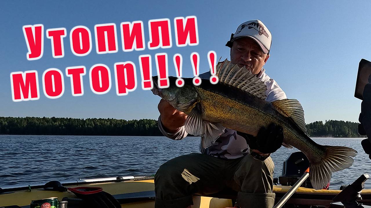 БУДНИ ПОДВОДНОГО ОХОТНИКА! НАШЁЛ ОГРОМНЫХ СУДАКВ! ТЕСТ СПИННИНГА RONIN RUSH SONIC INSURGENCY (802H) смотреть онлайн