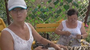 6 соток 30 июля 2025 года. 2 часть