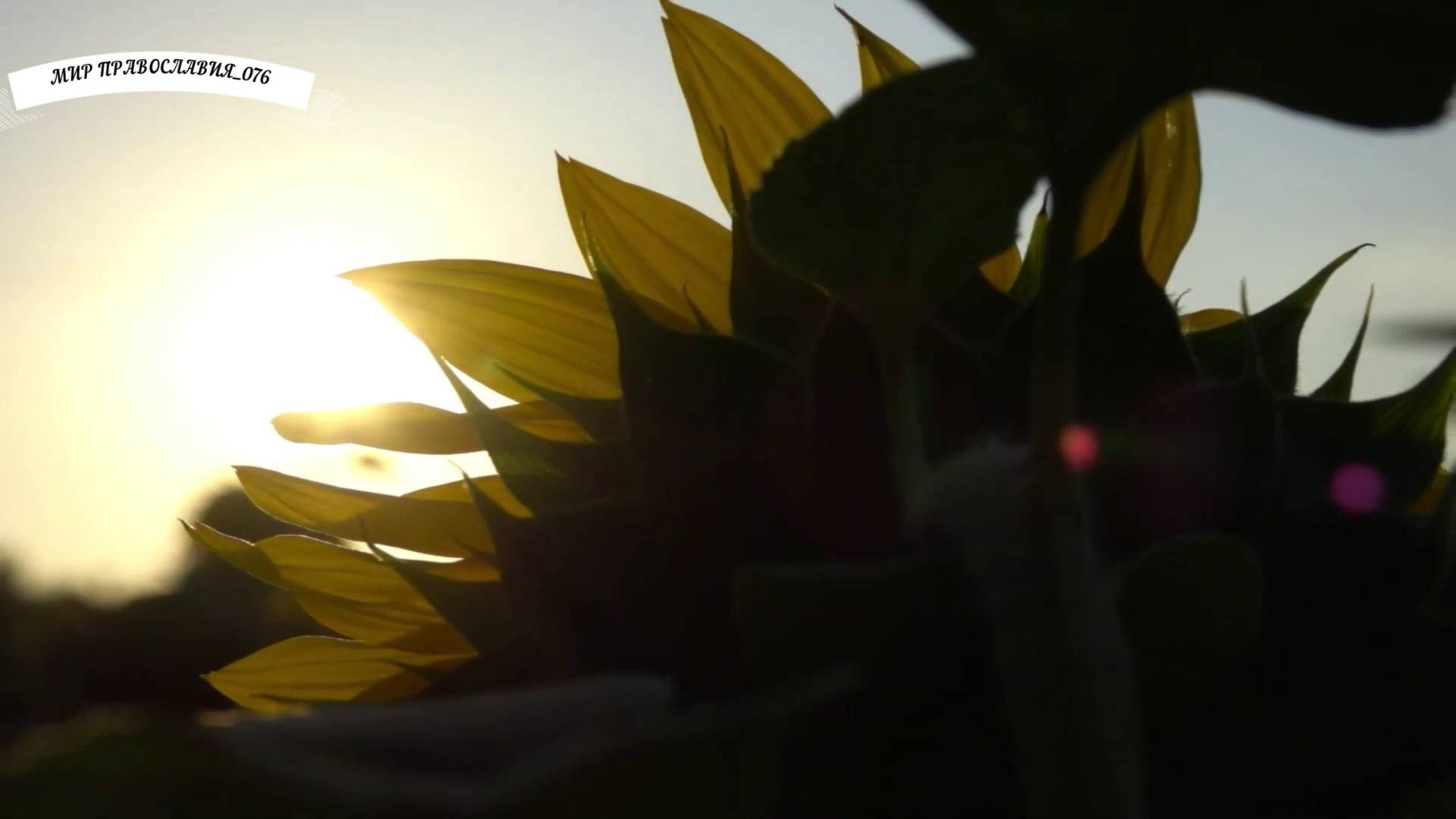 Молитва при унынии и в моменты отчаяния смотреть онлайн